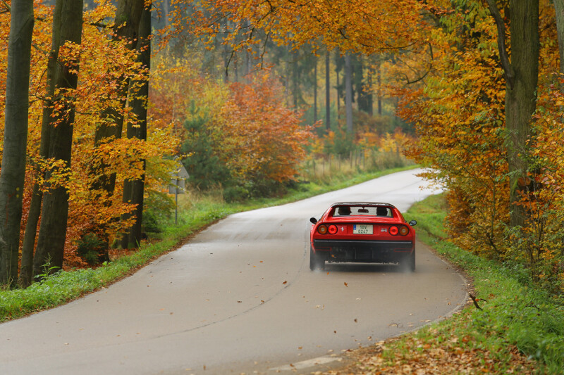 Ferrari_308GTS 27